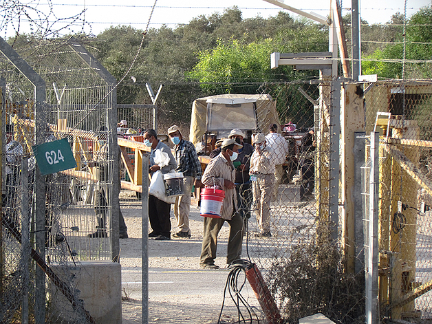 Accessing olive groves